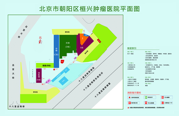 大鸡巴疯狂操逼视频北京市朝阳区桓兴肿瘤医院平面图